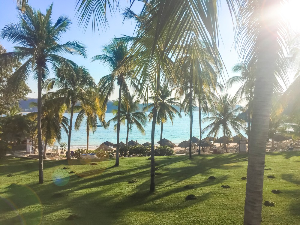 IMG_1130 palms from buffet w lens flare