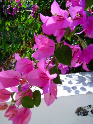 SANYO DIGITAL CAMERA