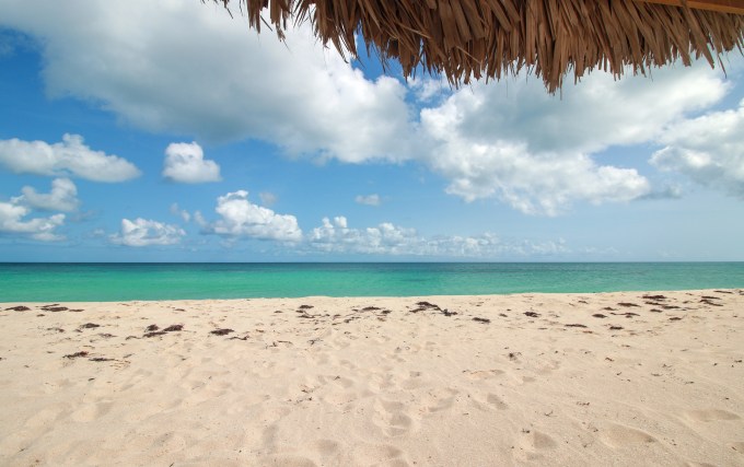 IMG_7114 beach barbuda