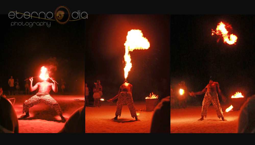 fire-breathing-collage-logo