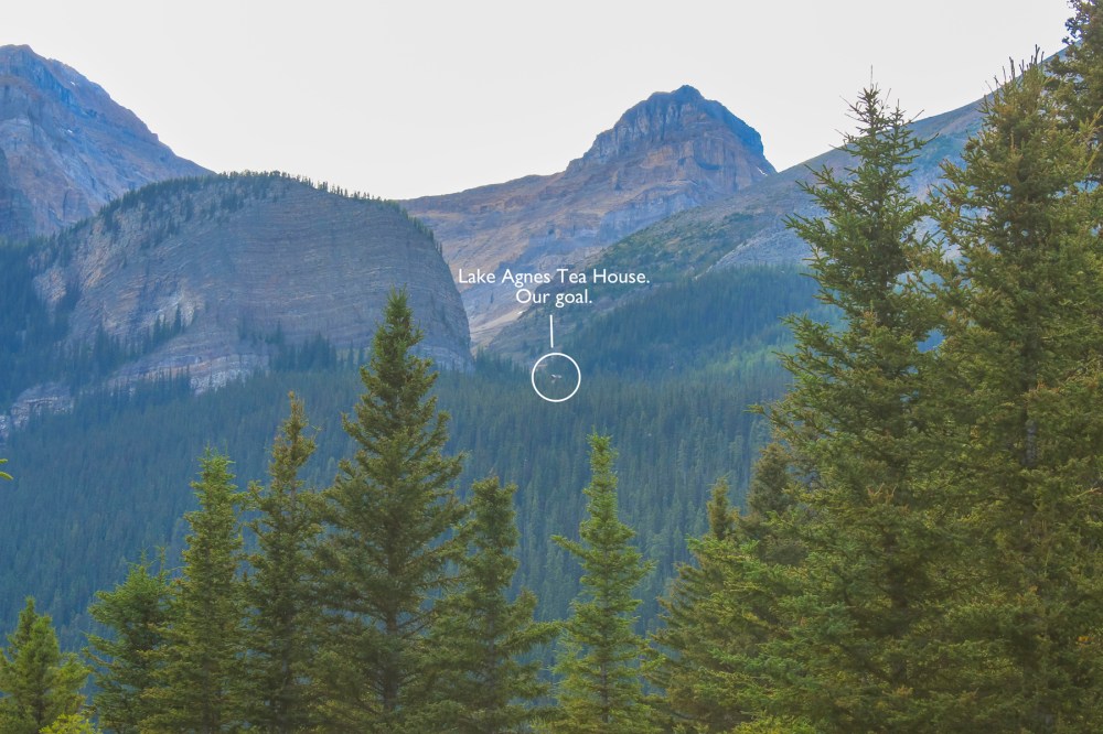 IMG_1358 lake agnes teahouse from LL infographic