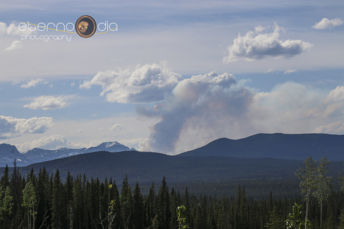 IMG_2030 fire smoke logoweb