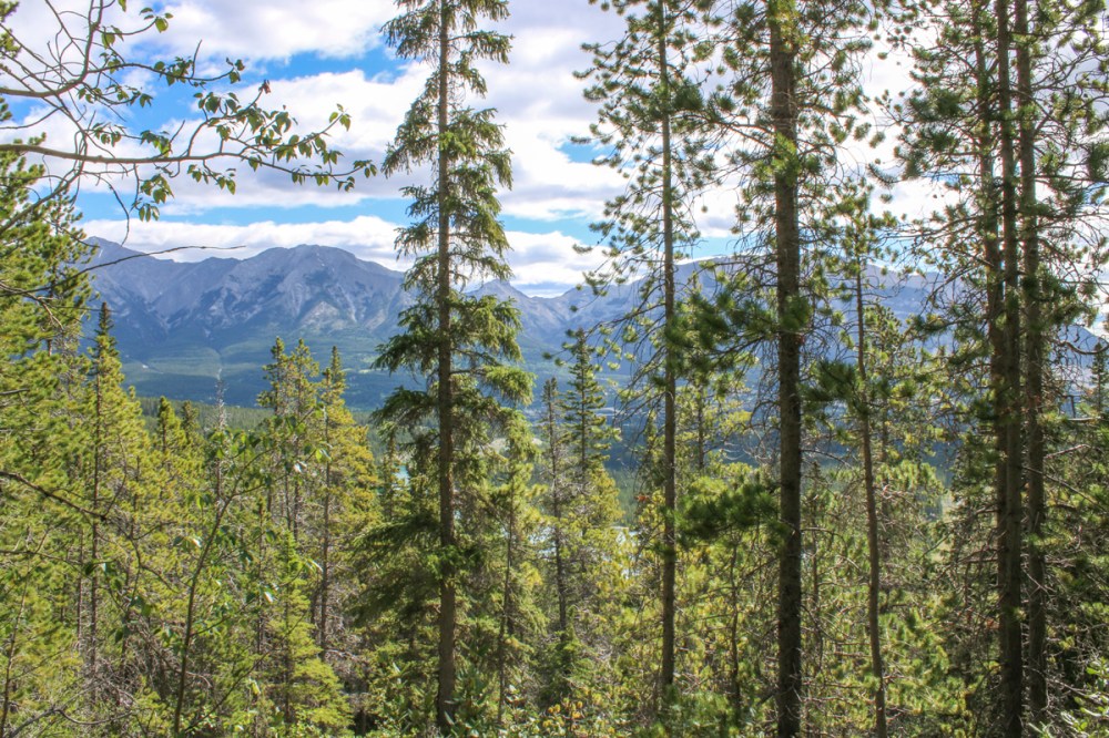 IMG_4575 view of canmoreweb