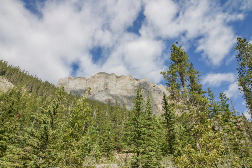 IMG_4583 mt rundleweb