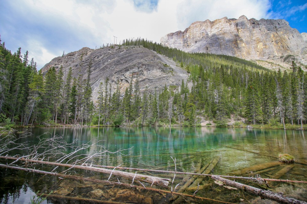 IMG_4596 grassi lakesweb