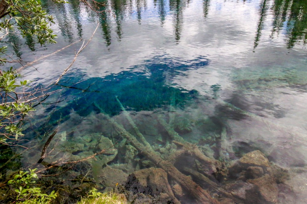 IMG_4612 logs underwaterweb