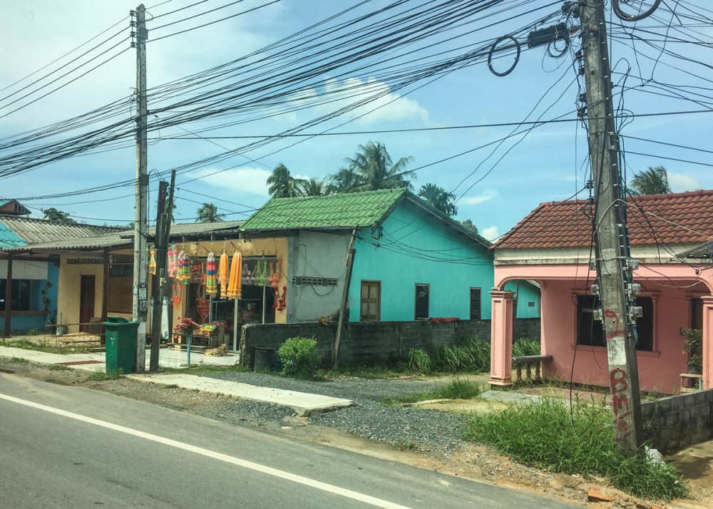 IMG_6809 flower shopweb