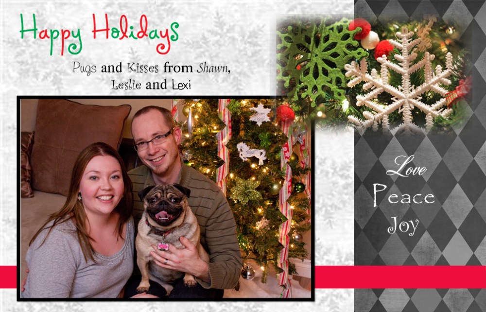 2012 xmas card
