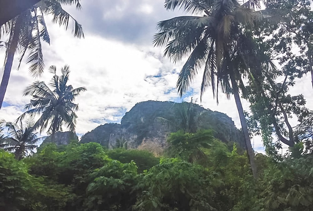 46221239_10156416943587489_962616107926028288_n hillsideweb