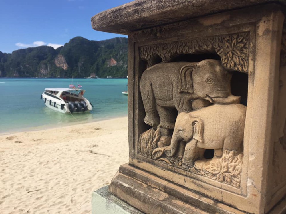 46315084_10156419366017489_1017290517618098176_n elephantweb