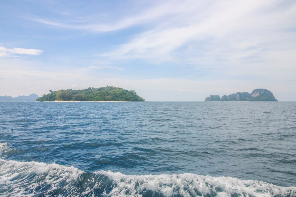 IMG_5786 first sight of Phi Phiweb