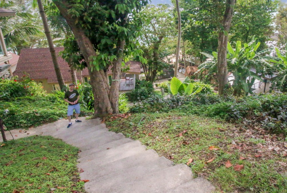 IMG_5793 looking down to beach Shawnweb