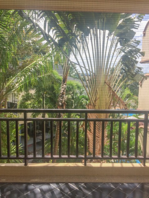 IMG_6933 view from roomweb