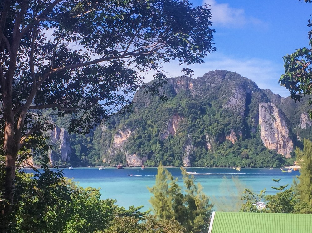 IMG_7141 view closeupweb