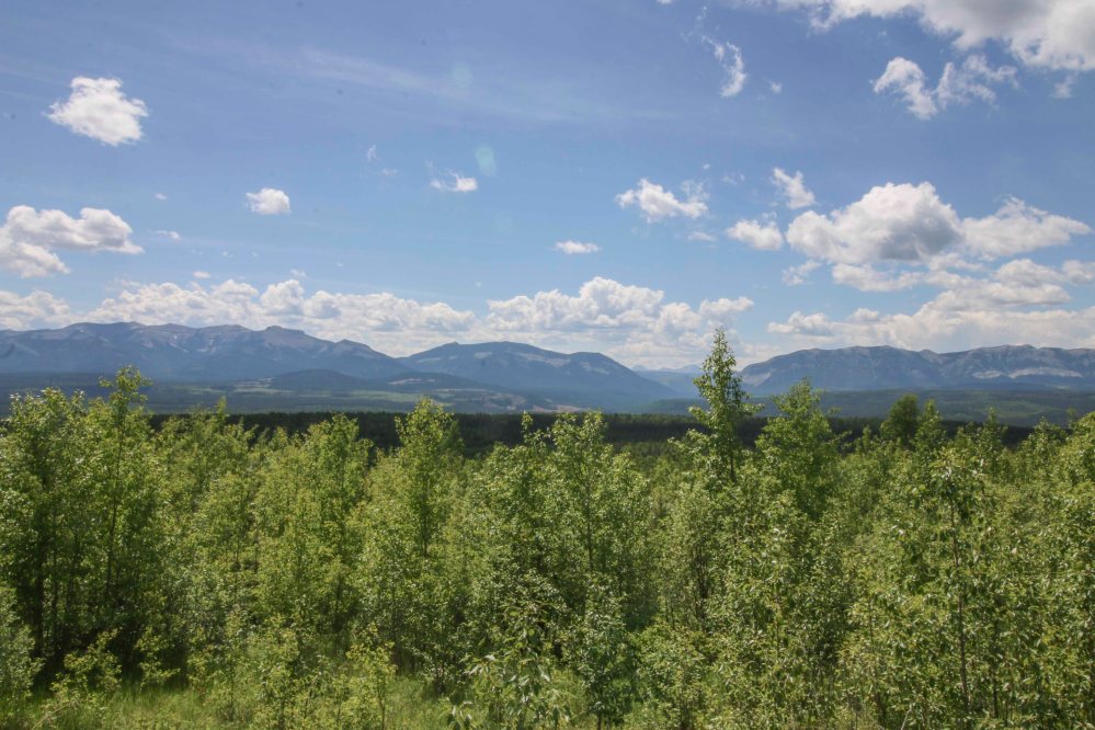 Driving in on David Thompson Highway