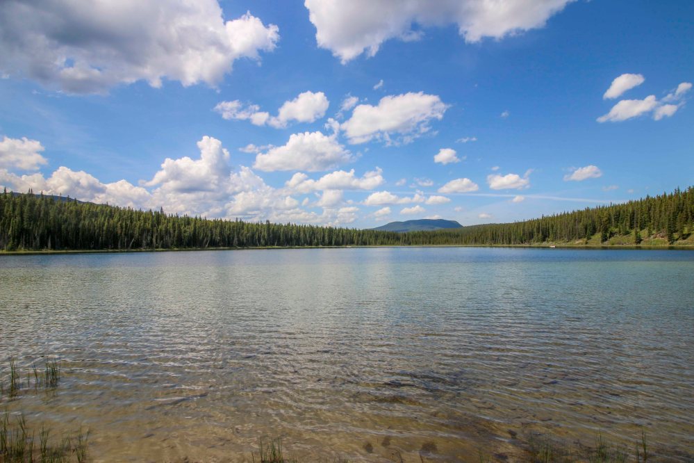 IMG_9187 Goldeye lakeweb