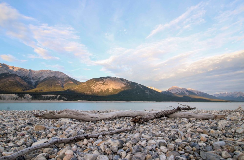 IMG_9268 driftwood lakeweb