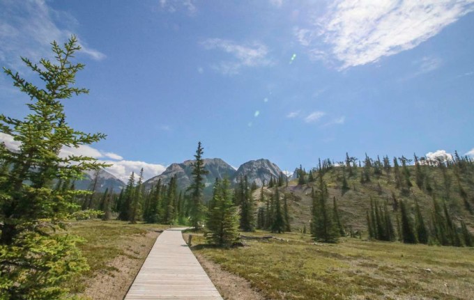 IMG_9665 siffleur hikeweb