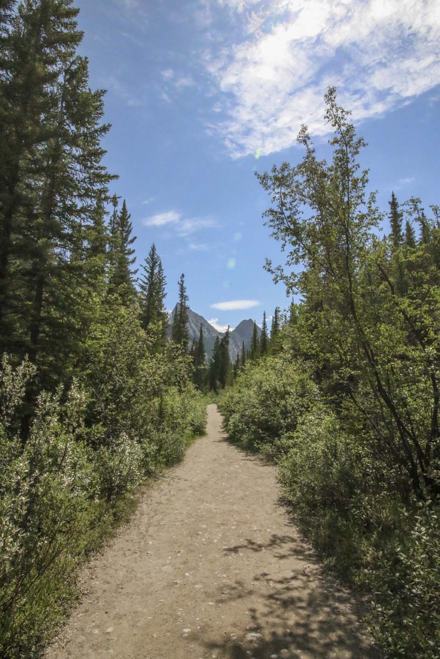 IMG_9667 siffleur hikeweb