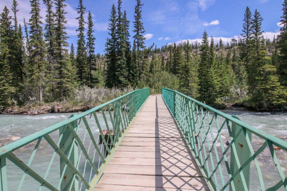 IMG_9670 siffleur hikeweb