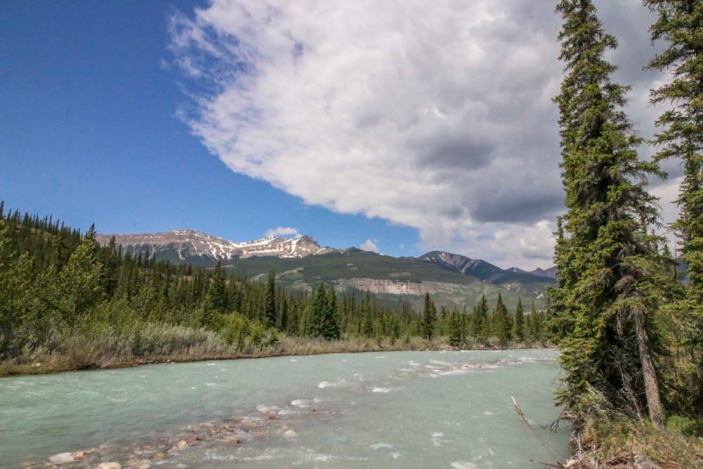 IMG_9671 Siffleur hikeweb