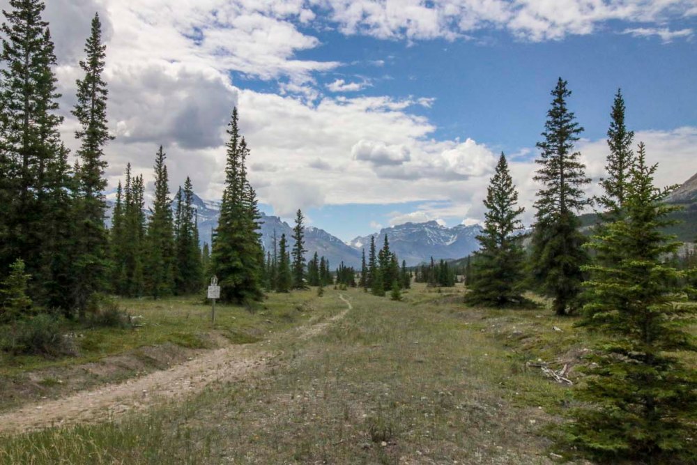 IMG_9673 siffleur hikeweb