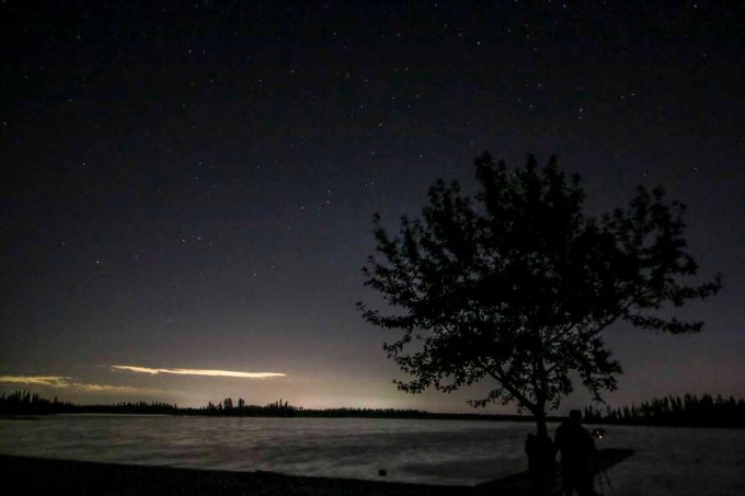 IMG_1024 tree and astoin lakeweb